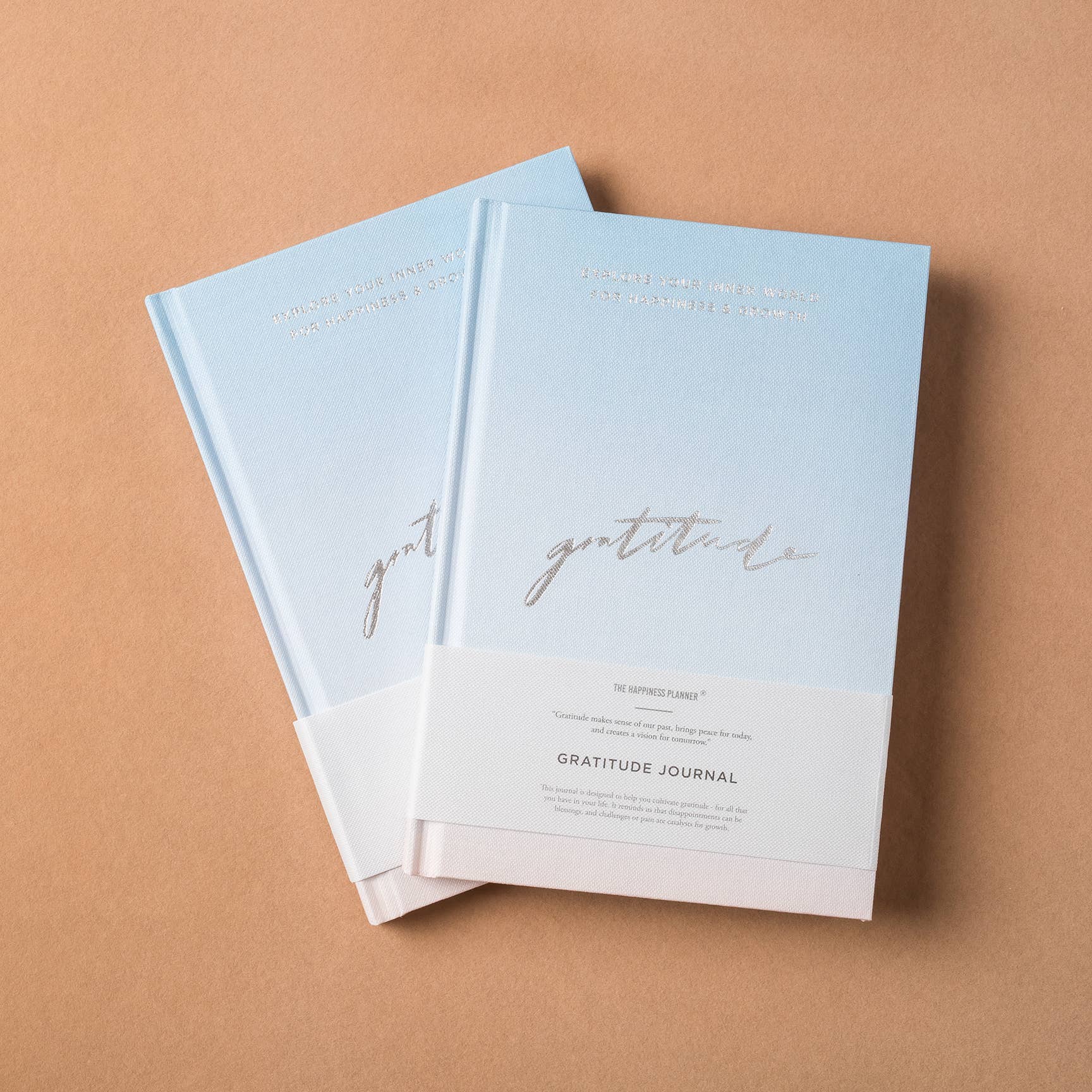 Gratitude Journal (Blue/White) - Alicia GonzalezCalendars, Organizers & Planners