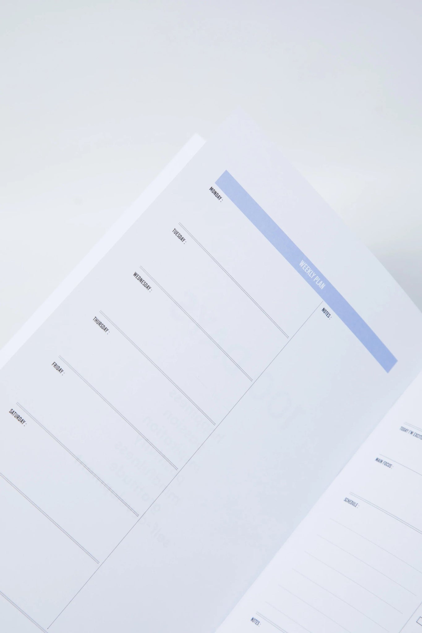 THE 100-DAY HAPPINESS PLANNER - Alicia GonzalezCalendars, Organizers & Planners