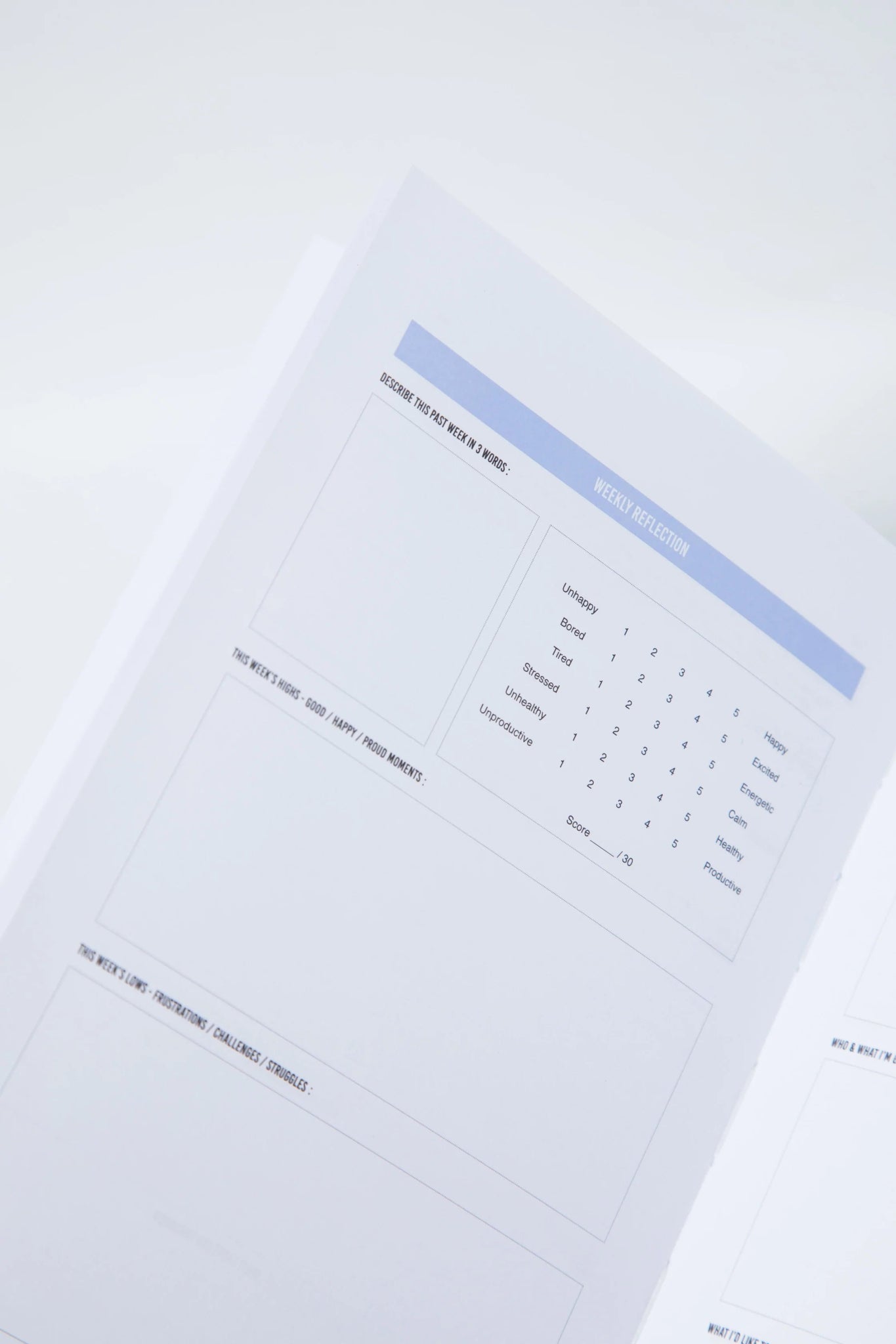 THE 100-DAY HAPPINESS PLANNER - Alicia GonzalezCalendars, Organizers & Planners