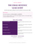 Email Revenue Leak Audit — Free Worksheet & Template - Alicia Gonzalez